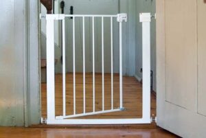 baby Gate 